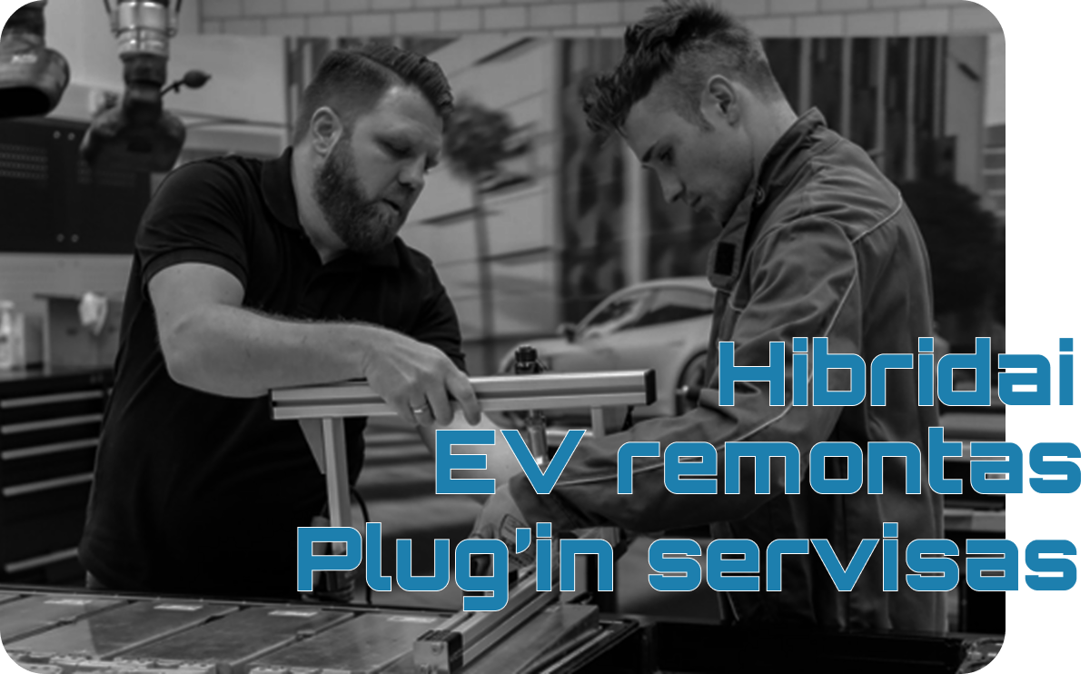 Hibridų Remontas Hibridai LT Image