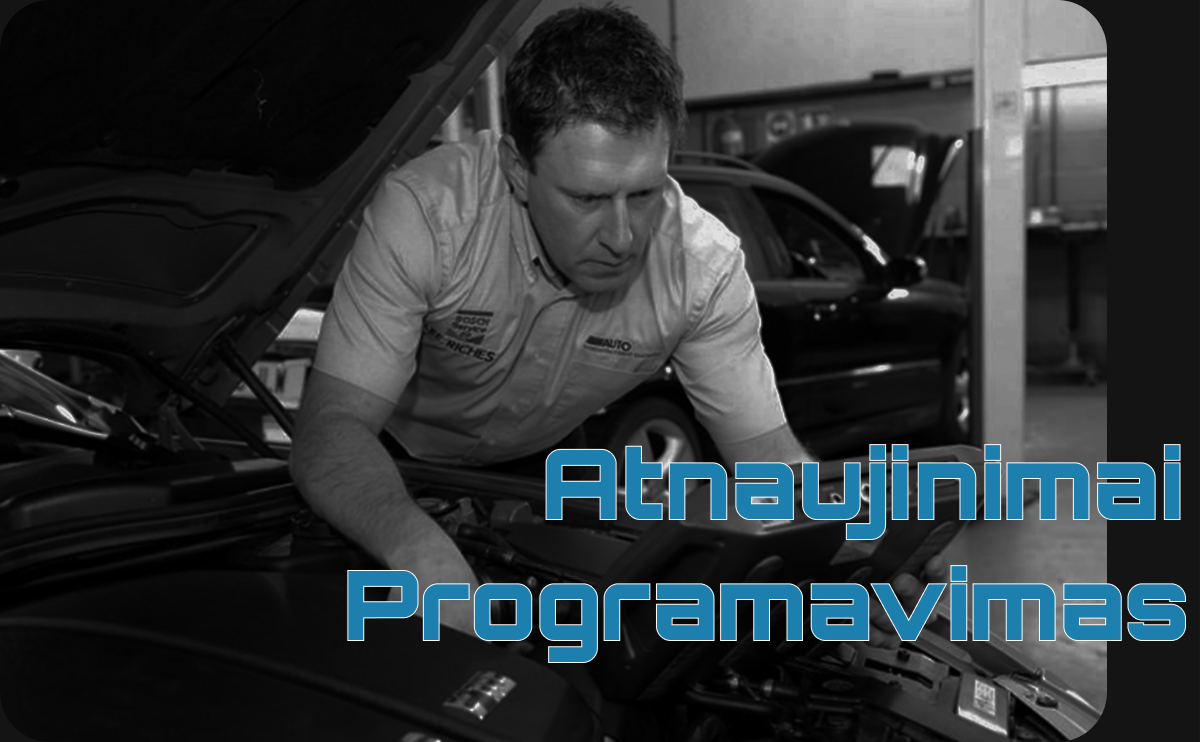 Hibridų Remontas Hibridai LT Image