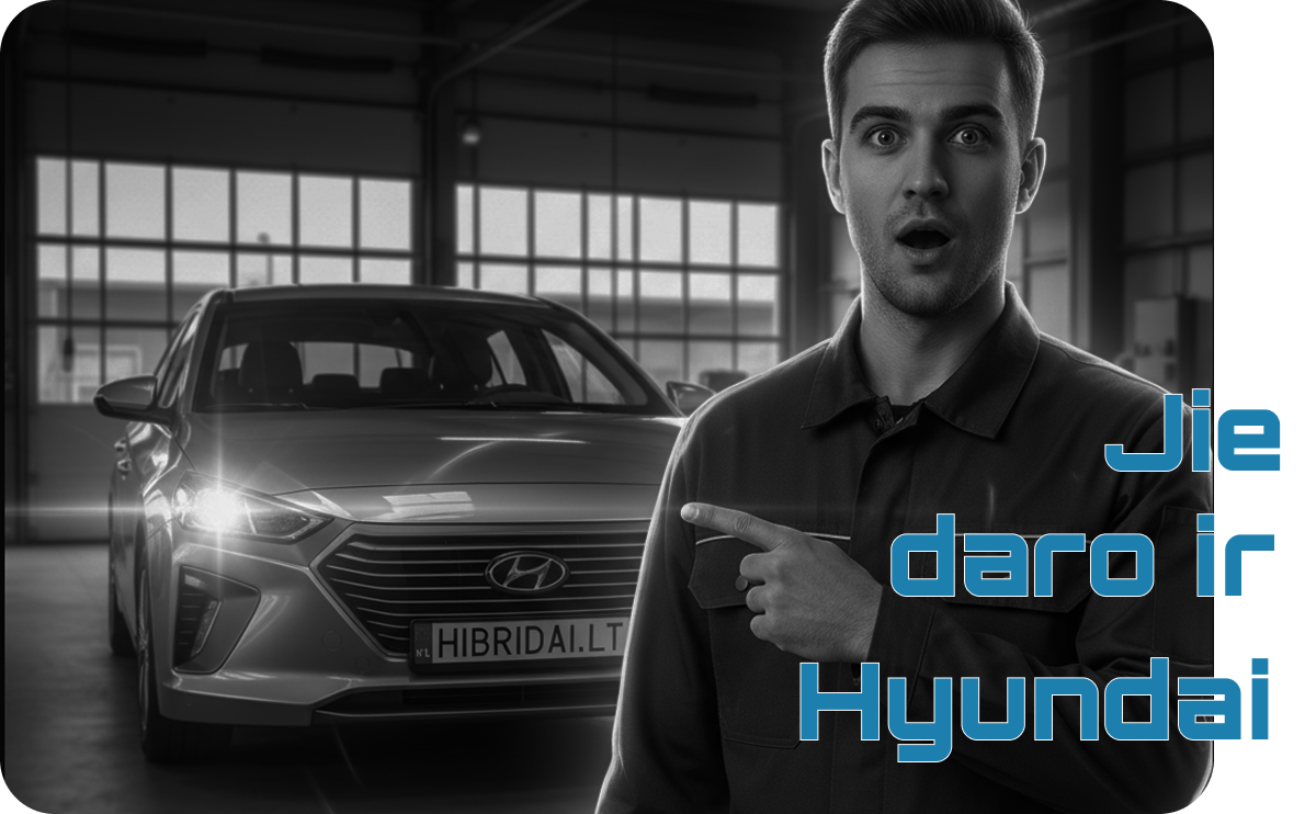 Hibridų Remontas Hibridai LT Image