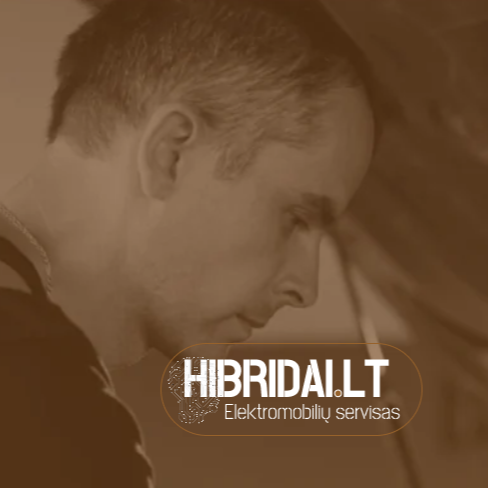Hibridų Remontas Hibridai LT logo