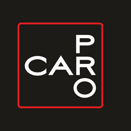 CarPro LT, UAB logo
